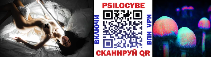 mega tor  Шадринск  Псилоцибиновые грибы MAGIC MUSHROOMS 