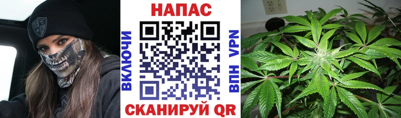 Бошки Шишки конопля  цены наркотик  Шадринск 